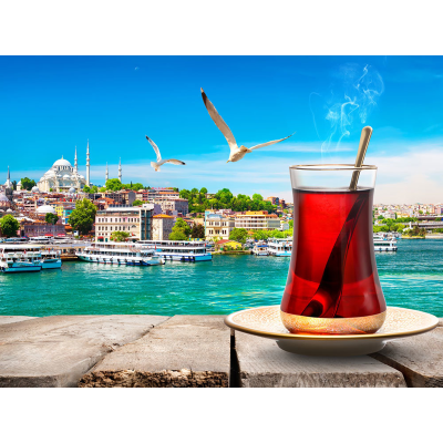 Турция отменяет заселенность в отелях до 50%